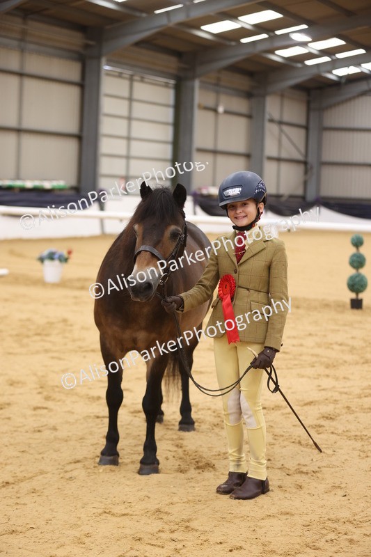 20260913-1148 - Class 110 - Bred In Other In Hand