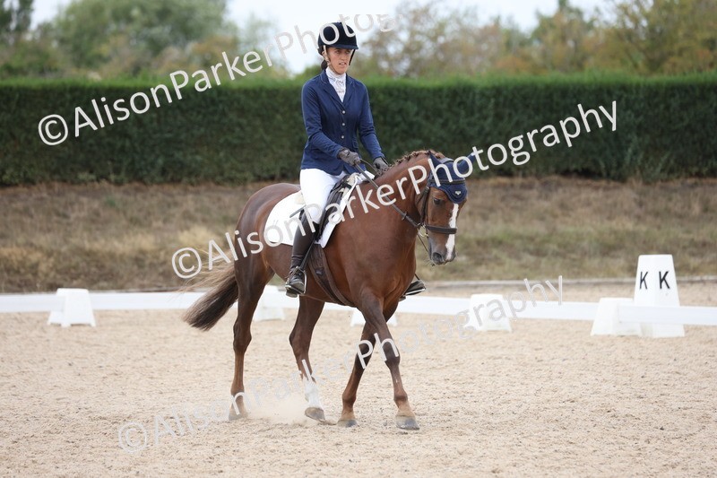 20250820-1109 - Class 17 - Elementary 4