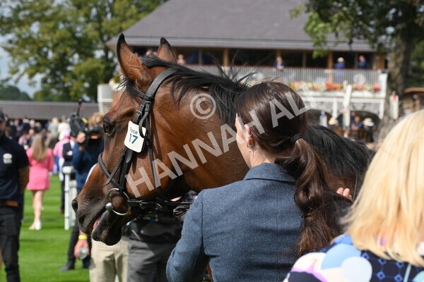 yr18082021r1-93 - Race 1 1.50pm Sky Bet & Symphony Group Stakes