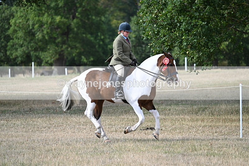 WJ7_7745 - Ridden Championship