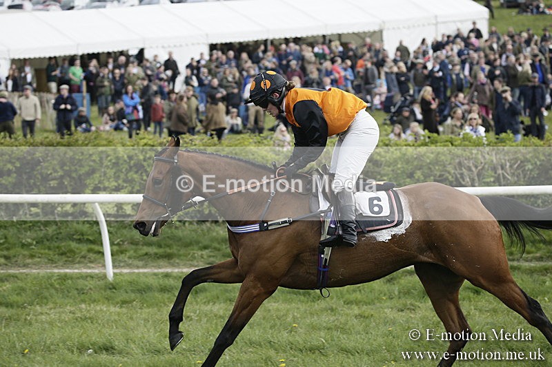 PtP 170417 384 - Old Berks Point-to-Point Lockinge 17/04/17