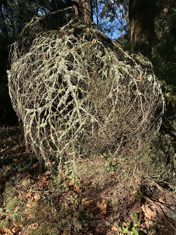  - The State We're In