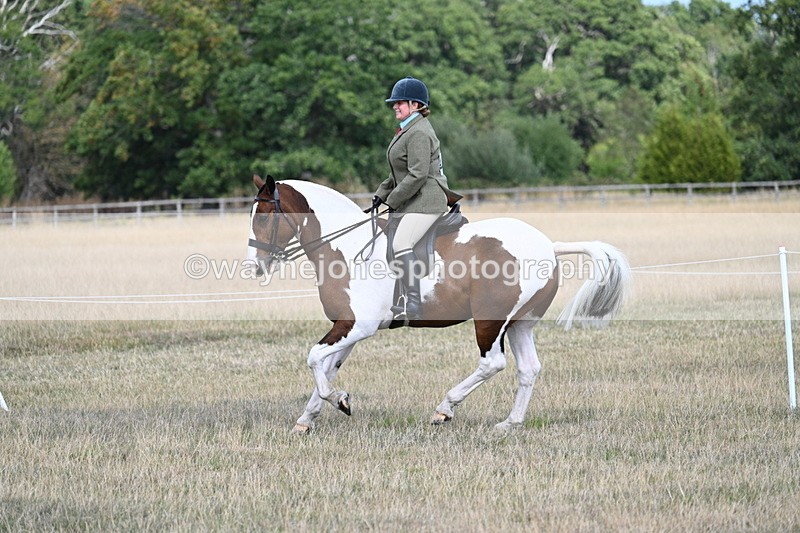 WJ7_7271 - Class 14 Ridden Coloured