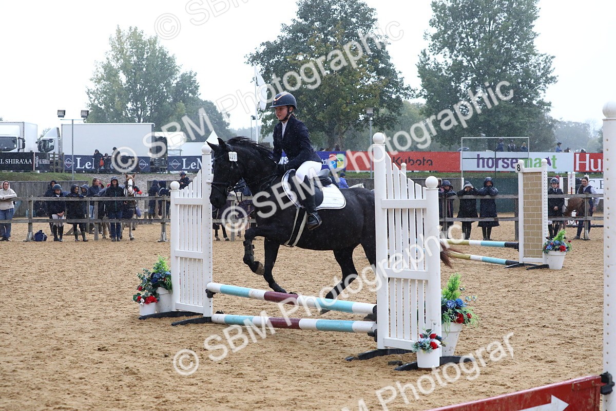 SBM_71509 - J4 - Mini Tour Junior Pony 45cm Championship