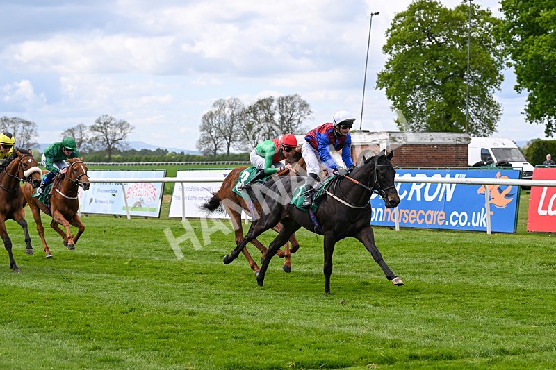 030525-Race 2-Under The Radar-2598 - Race 2