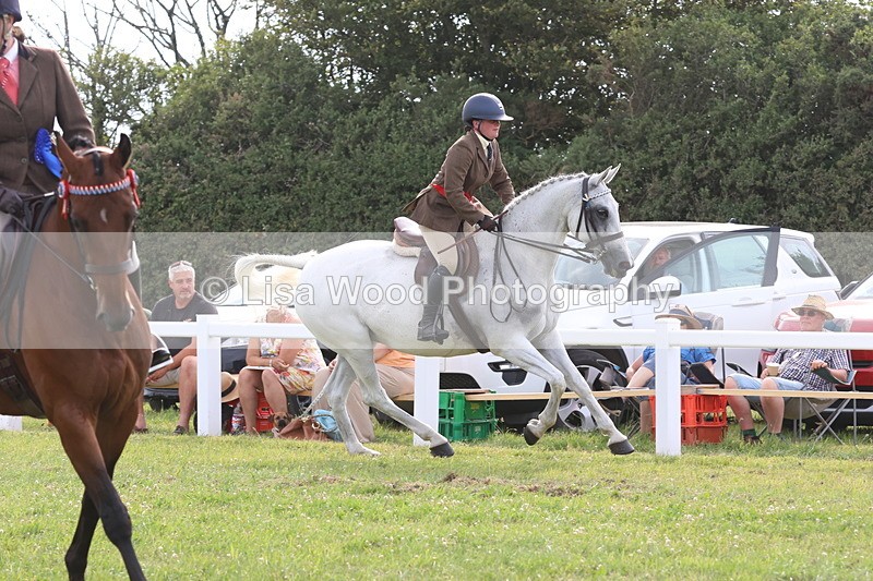 JPP_4331 - Class 25: Working Show Horse