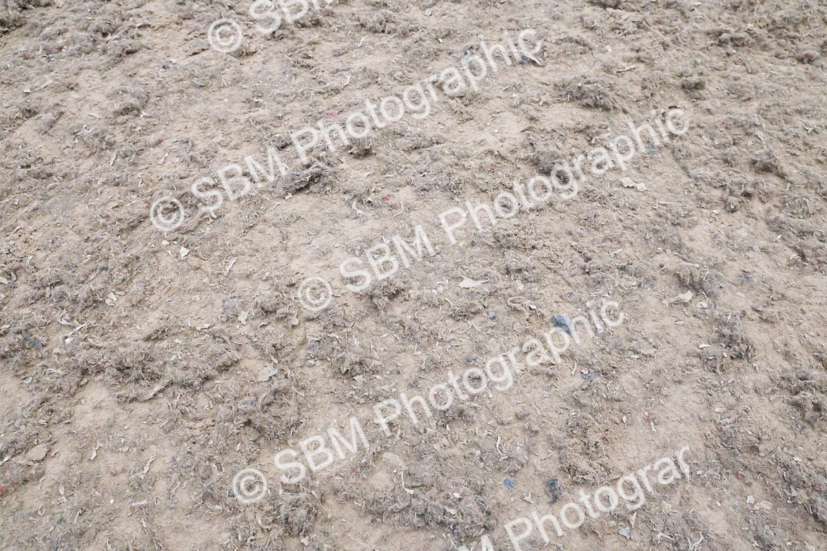 SBM_013002