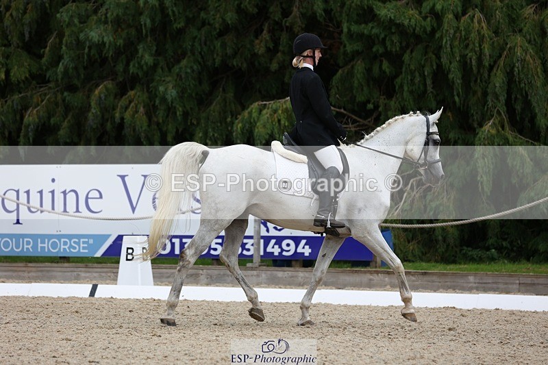 230812-151615-05095 - Cls 5 Novice Bronze 15.00 to End