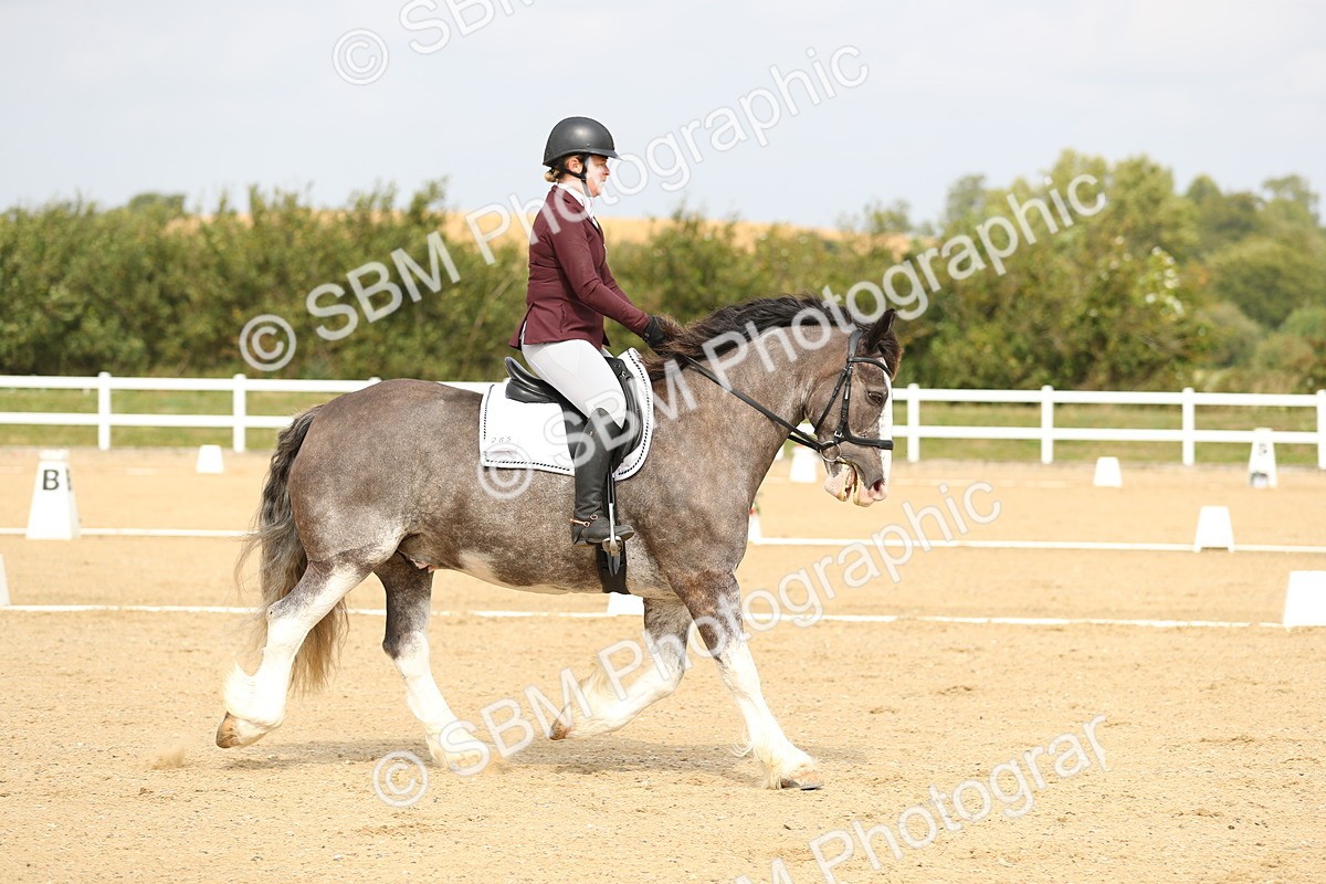 SBM_017303 - Class 13 - Novice 23 - 13.31-14.13