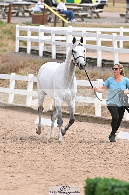 250716-142223-01044 - Trot Up 1.30 to 2.30