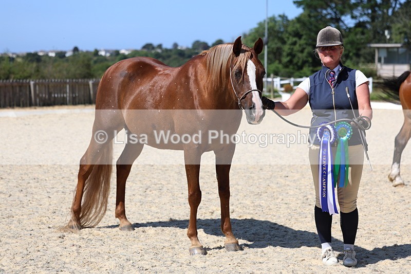 3E7A9968 - In Hand Championship