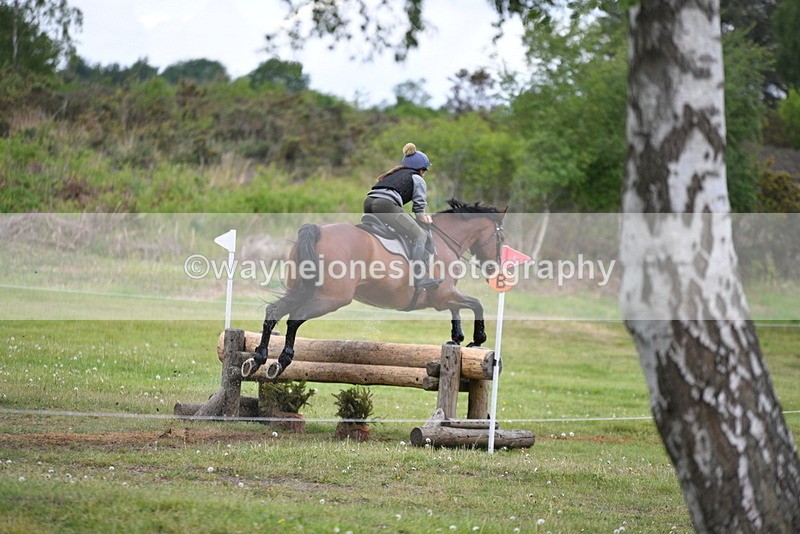 WJ5_5463 - Time 13:23 to 13:46