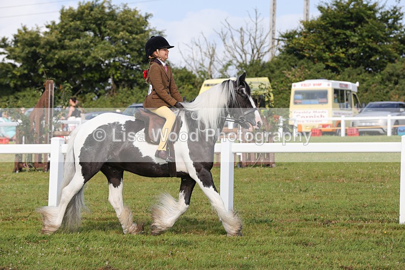 1X9A3198 - Class 28: Ridden Native/Trad Coloured Pony