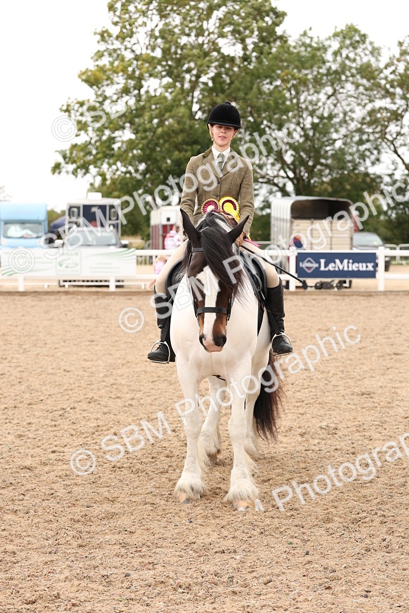 SBM_19736 - Class 216 - Ridden Traditional - Native Cob