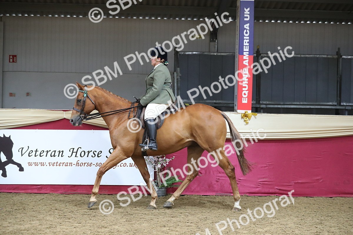 SBM_12341 - Class 108 Ridden Retired Racehorse- Pre Judging