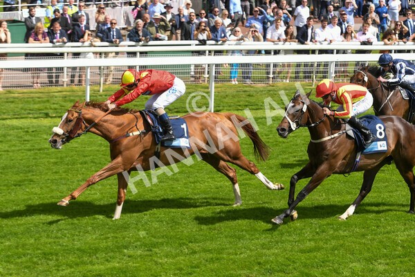 yr10062022r3-33 - Race 3 3.00pm British EBF supporting Racing with Pride Fillies' Handicap