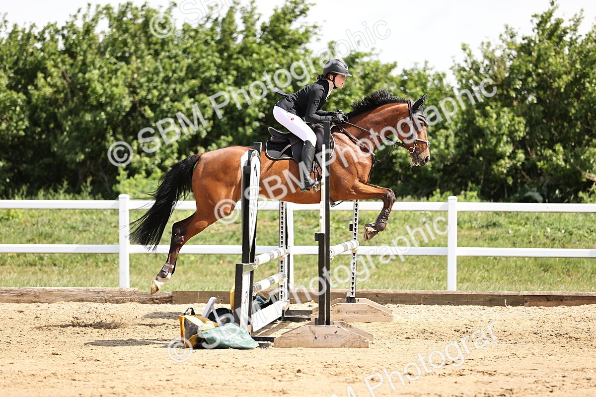 SBM_002145 - Class 9 - Senior British Novice - 90cm