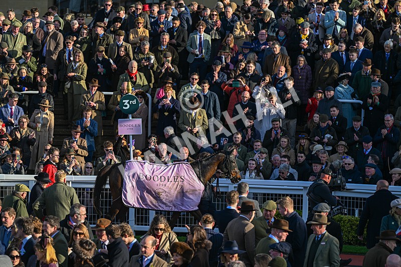 130326-Race 5-Gaelic Warrior-3017 - 13th March