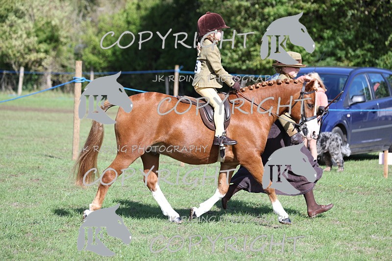 APP_3851 - Class 13 Lead rein