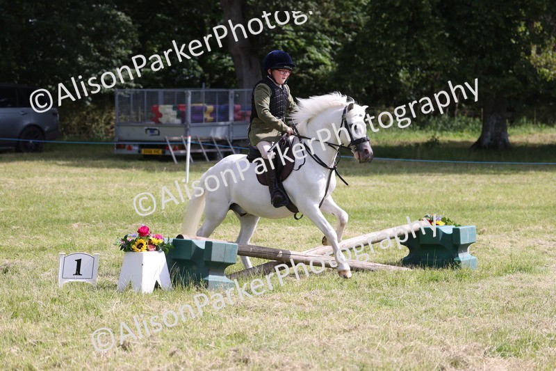 20260614-0712 - Class 20 - Beginners Working Hunter Pony