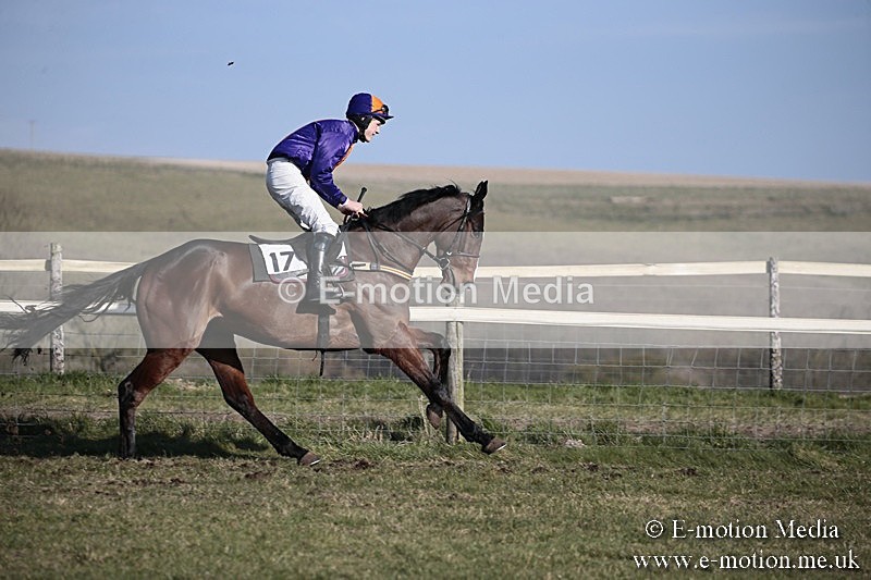PtP 240218 342 - Vine & Craven Hunt Point-to-Point Barbury racecourse 24/02/18