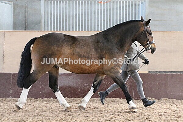 SIAL0096 - Indoor Classes