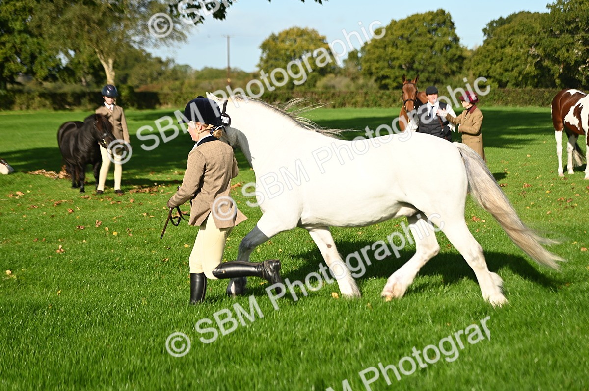 SBM_14773 - S1 - TSR in Hand Horse & Pony Showing