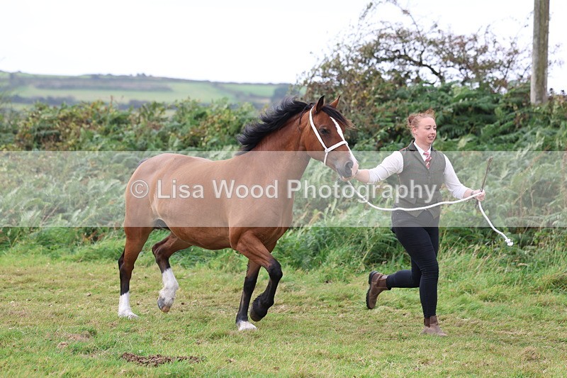 3E7A4563 - Class 16: Best Grass Kept