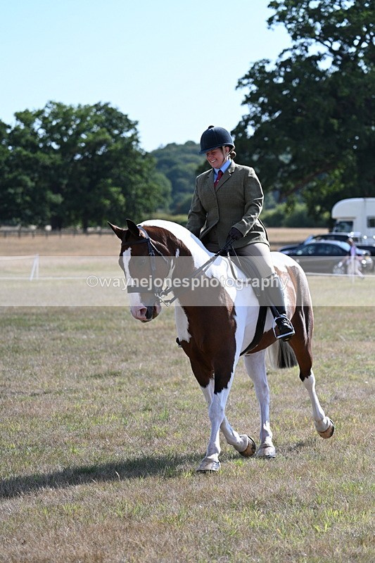 WJ7_2832 - Class 8 Ridden Tack & Turnout