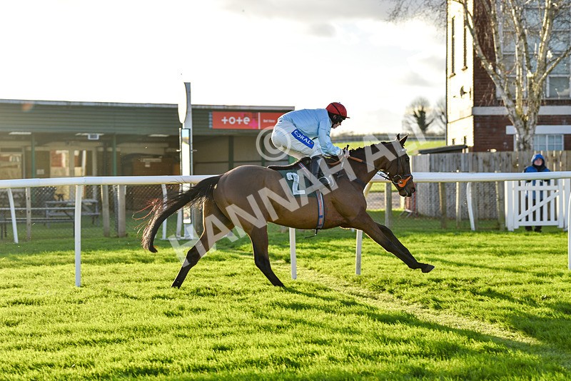 241123-Race 5-Bugise Seagull-7547 - Race 5