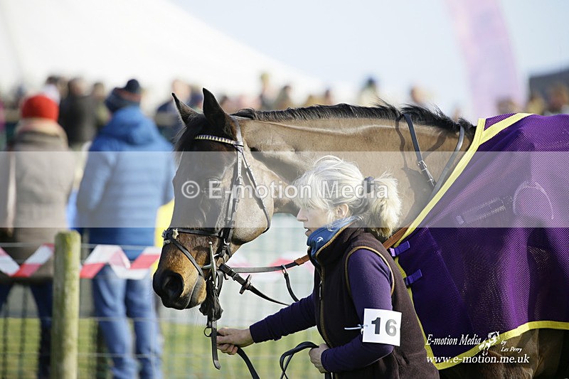 PtP 300122 292 - South Dorset Hunt - Point-to-Point Races 30/01/2022