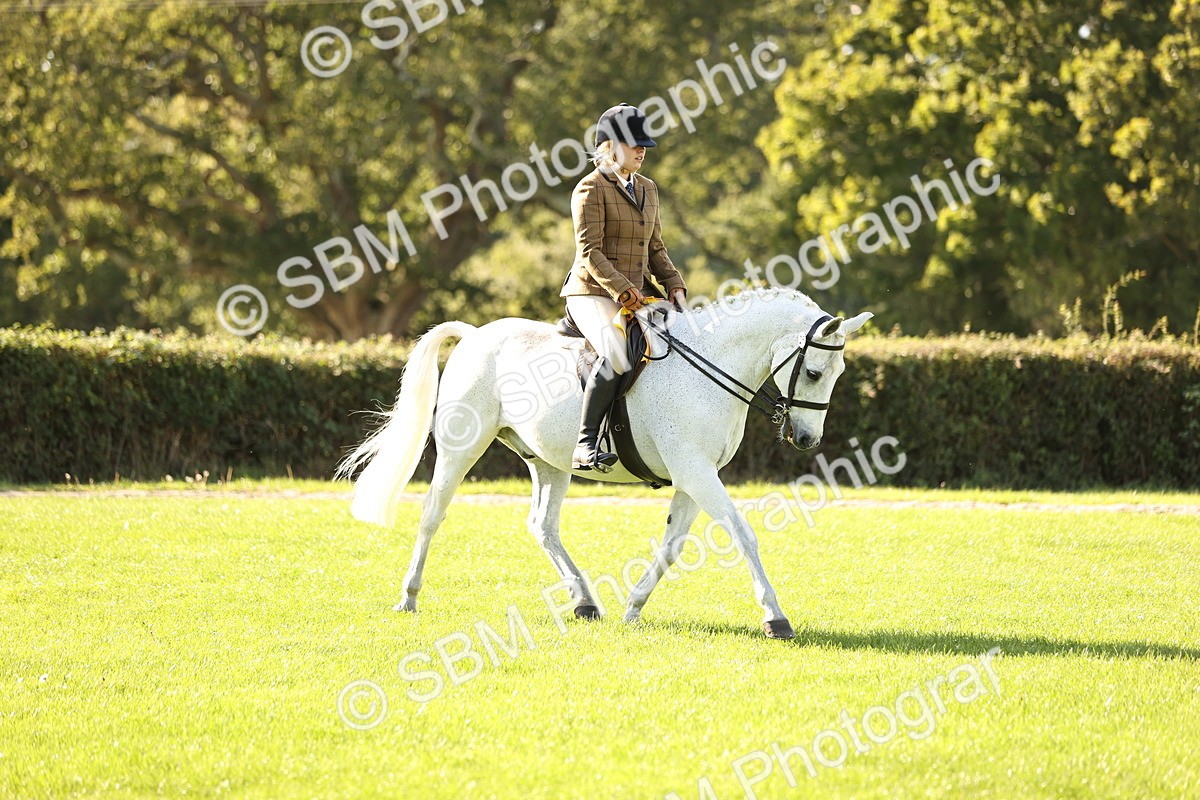 SBM_26517 - S6 - Novice & Newcomers Ridden Horse