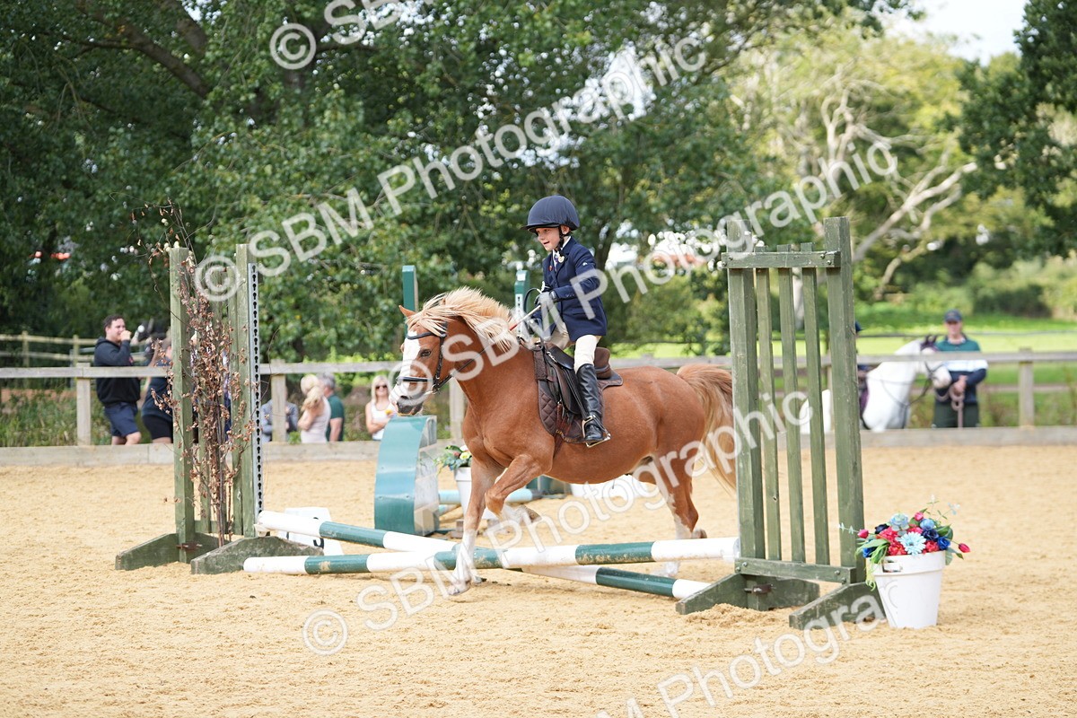 SBM_64510 - J2 - Mini Tour Junior Pony 30cm Championship