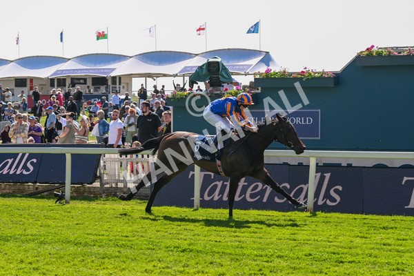 140525-Race 4-Whirl-2443 - Race 4 3.45pm Tattersalls Musidora Stakes