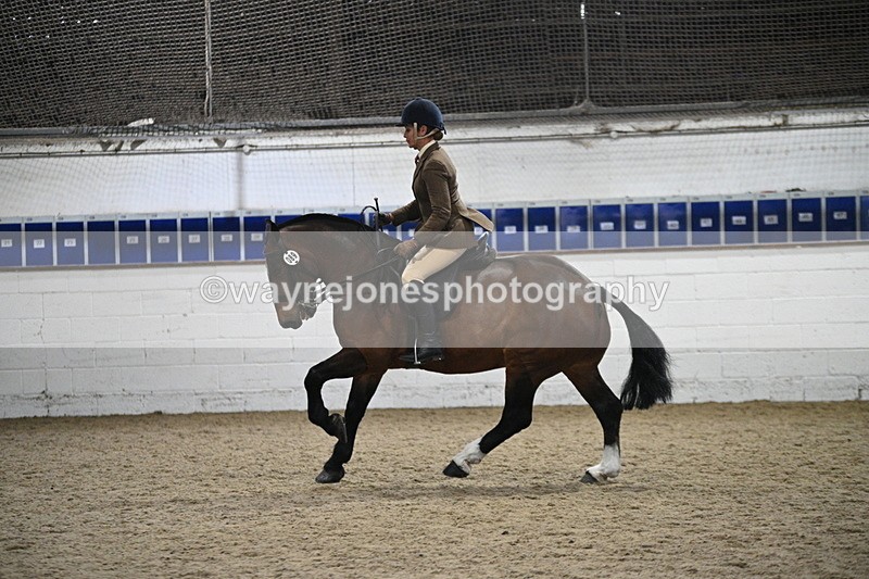 WJ7_4005 - Class 17 Ridden Cob