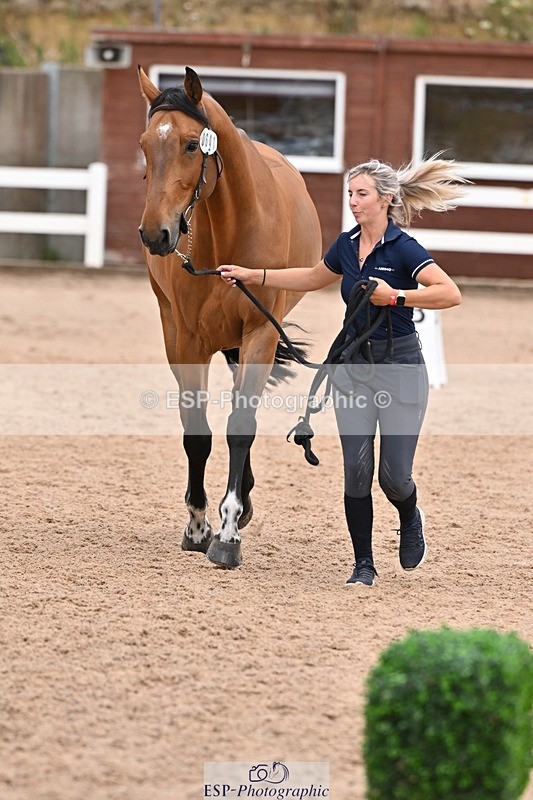 250716-143444-01219 - Trot Up 2.30 to 3.30