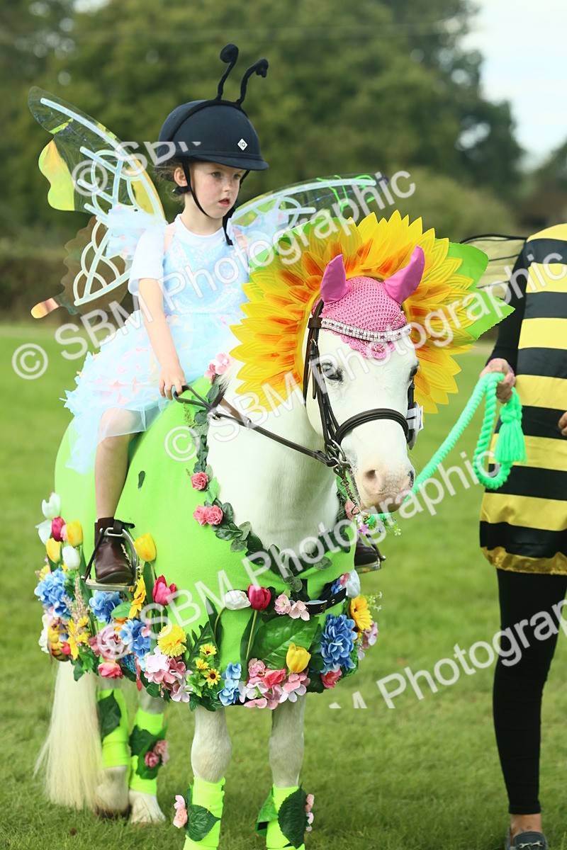 SBM_63566 - S35 - Fancy Dress Showing