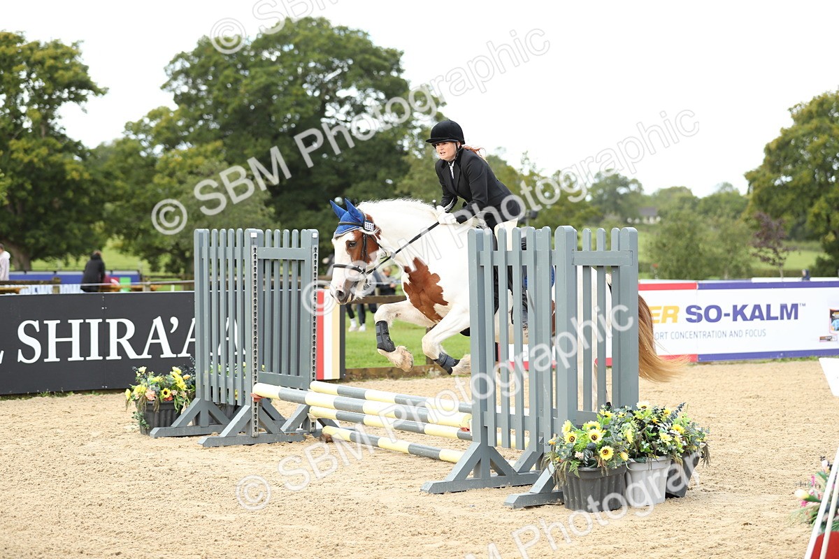 SBM_02030 - J34 - Veteran Rider 50cm