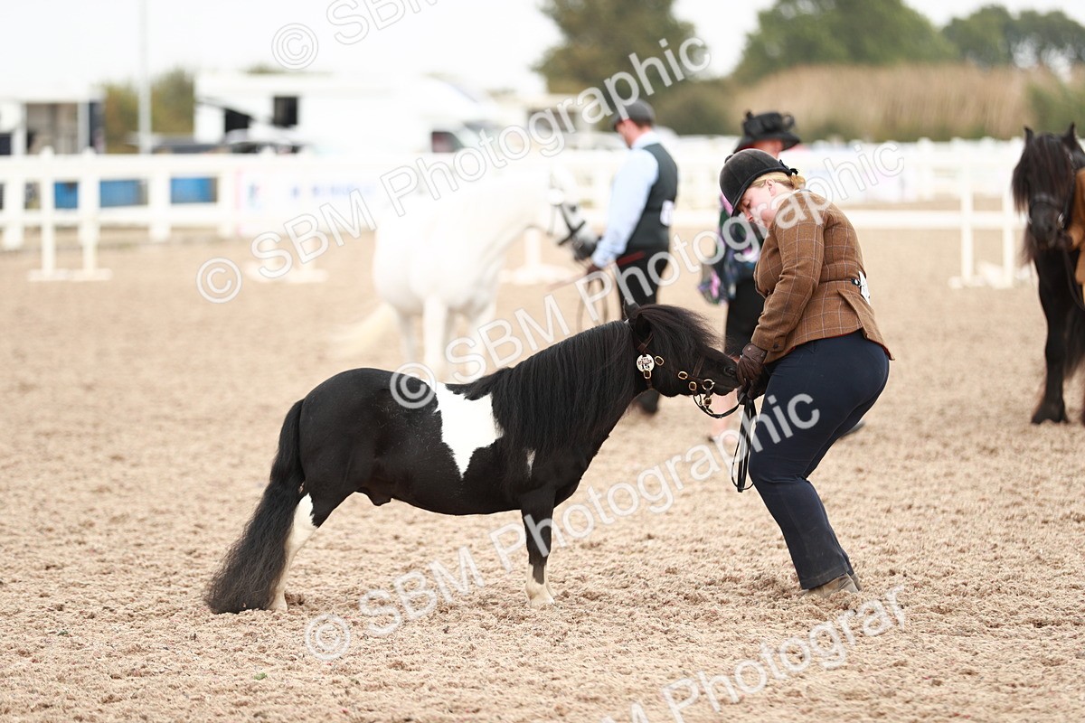 SBM_12547 - Class 207 IH M&M