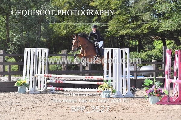 BPP_3527 - CLASS 2 Club/ Unaffiliated 80cms Open