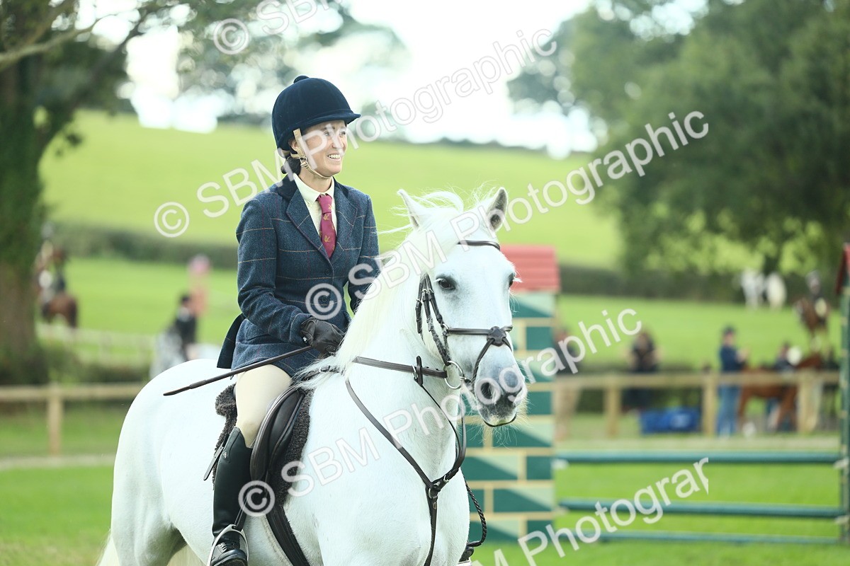 SBM_42913 - S30 - M&M Working hunter Pony