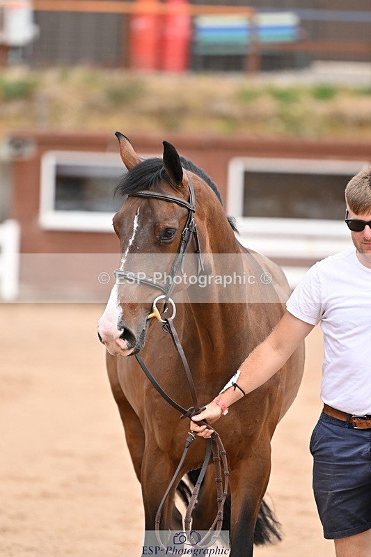 250716-150711-01642 - Trot Up 2.30 to 3.30