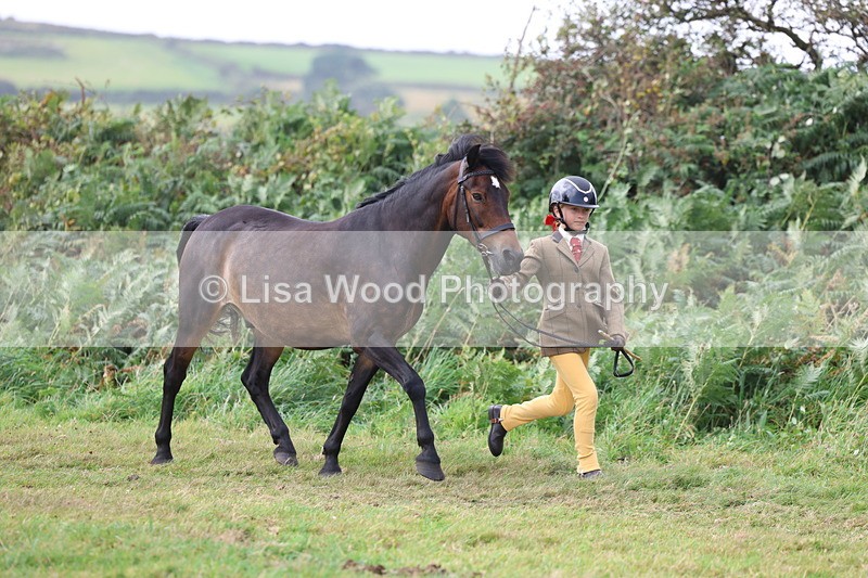 3E7A5277 - Class 18: Veteran in Hand