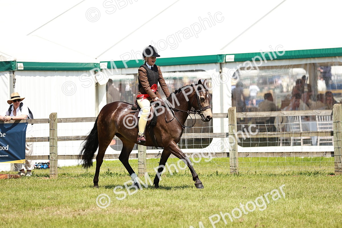 SBM_15748 - Class 108-109 - BSPS LIHS Open Gradle & Nursery Stakes
