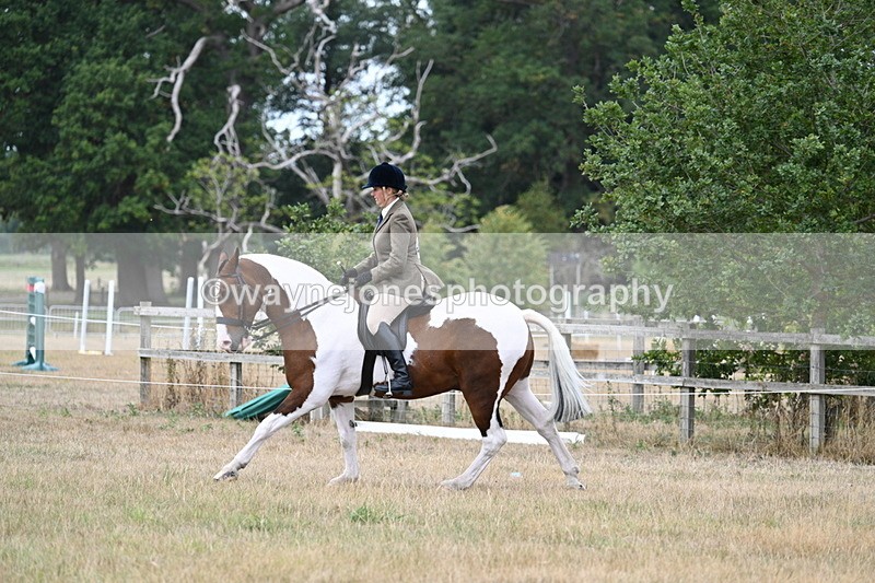 WJ7_5061 - Class 12 Ridden Cob