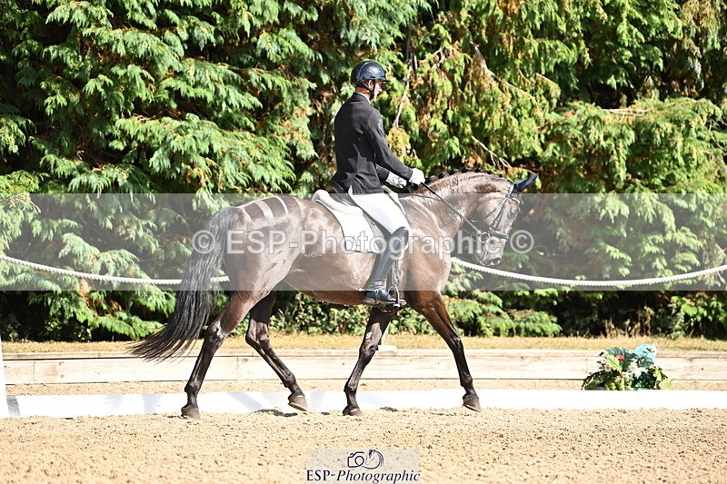 250808A-162001-01901 - 127-Joe.RoomeMonarchs.Way.Her.Grace