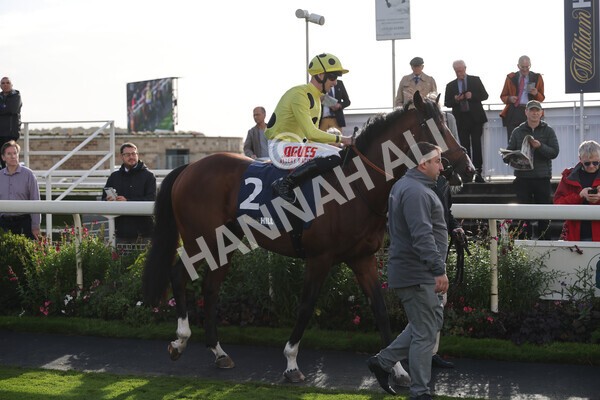 yr07102022r4-6 - Race 4 3.50pm William Hill Best Odds Guaranteed Stakes