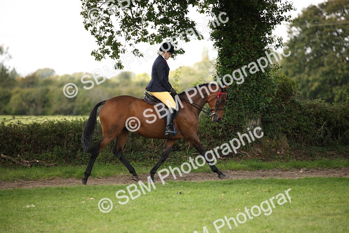 SBM_65906 - S64 - Riding Horse & Hack & Thoroughbred Ridden