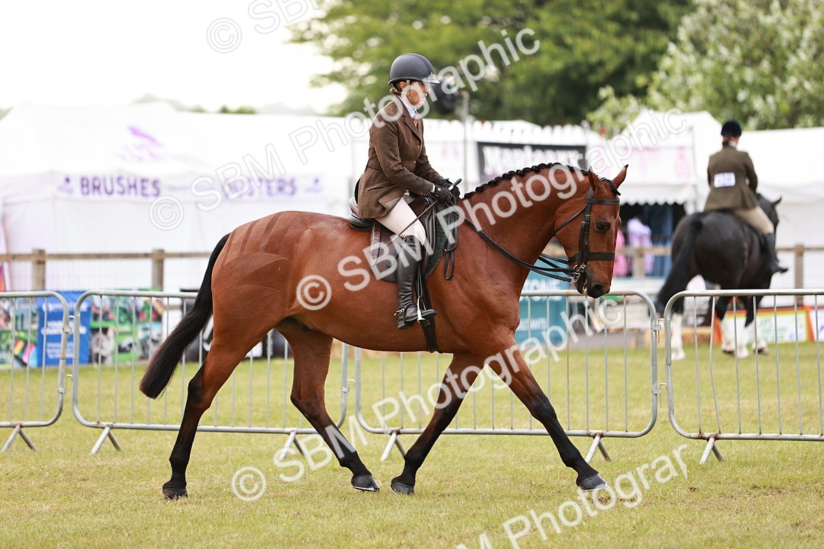 SBM_10758 - Class 81-84 - RIHS Ridden hunters Inc Ladies Hunter