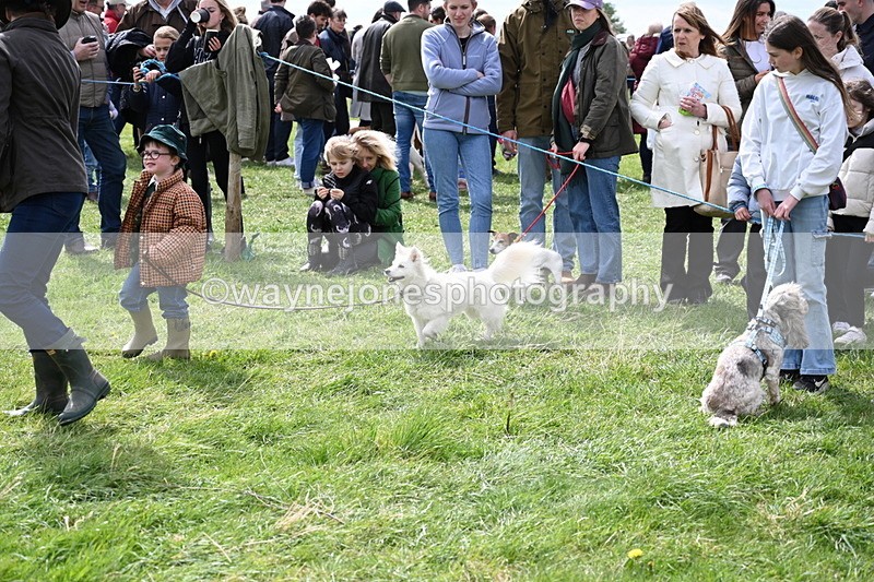 WJ6_8288 - Class 4 Prettiest Bitch